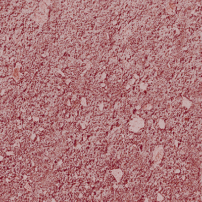 red_wood