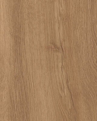 contemporary_cognac
