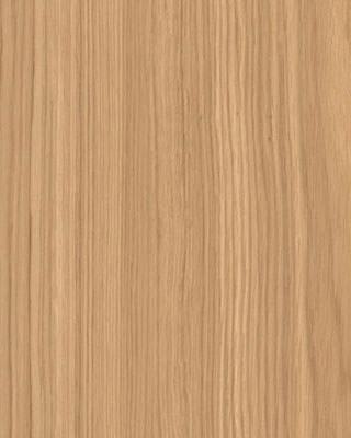 modern_caramel